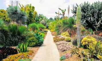 cactus-parc-france.jpg