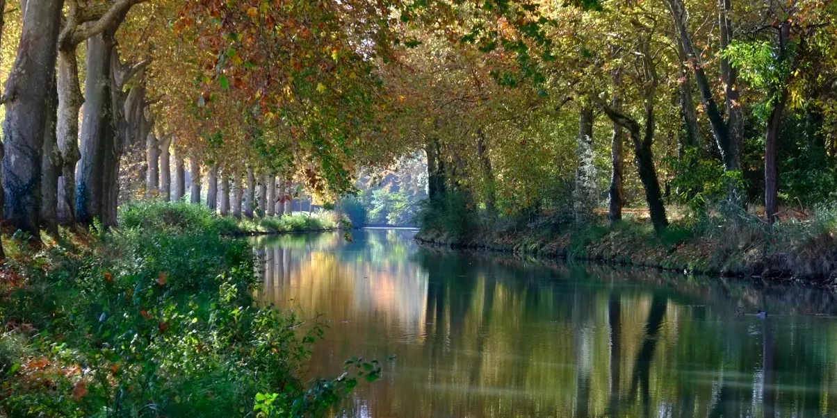 canal-du-midi-a-velo.webp