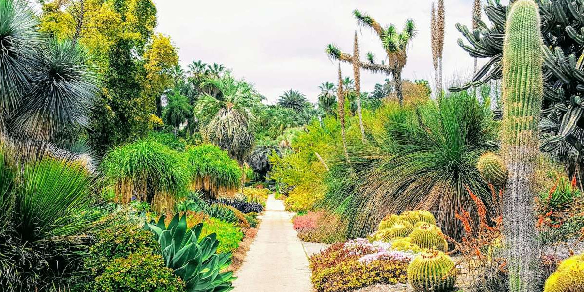 cactus-park.jpg